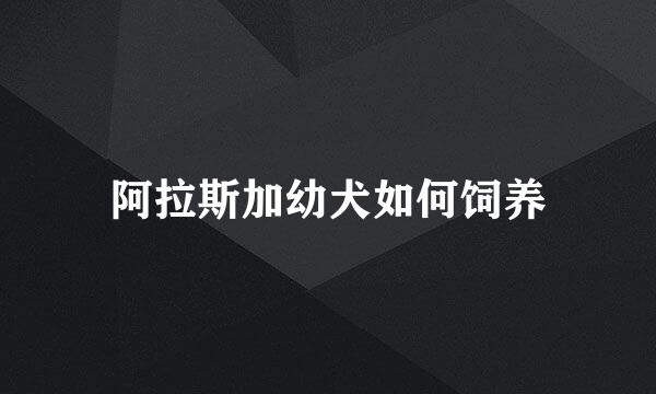 阿拉斯加幼犬如何饲养