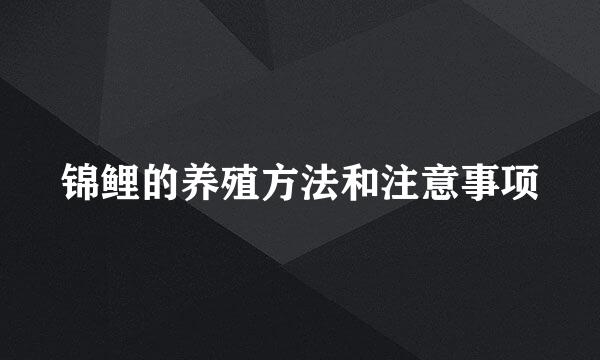 锦鲤的养殖方法和注意事项