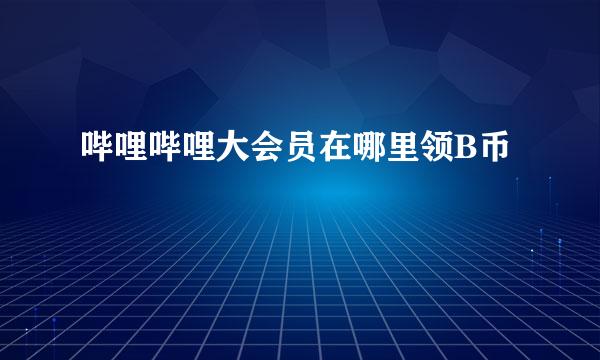 哔哩哔哩大会员在哪里领B币