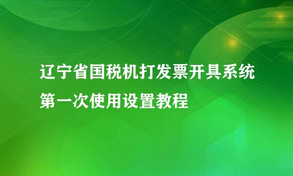 辽宁省国税机打发票开具系统第一次使用设置教程
