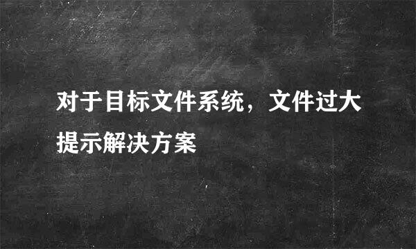 对于目标文件系统，文件过大提示解决方案