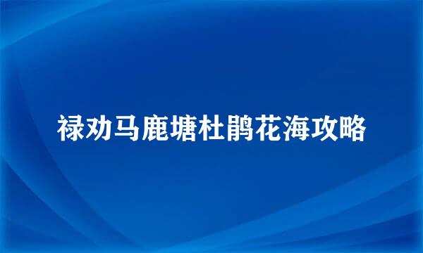 禄劝马鹿塘杜鹃花海攻略