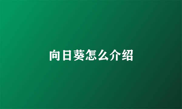 向日葵怎么介绍