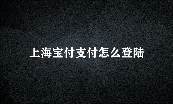 上海宝付支付怎么登陆