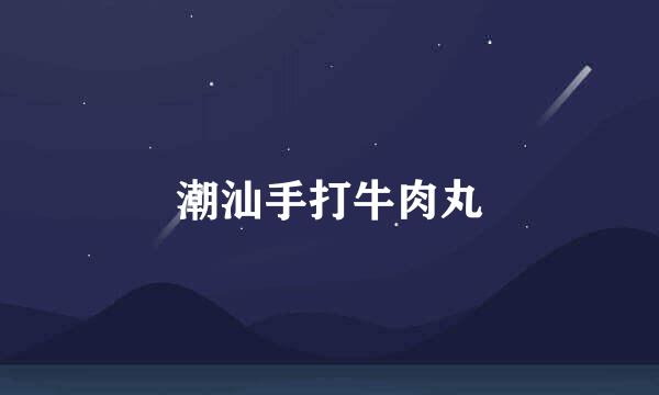 潮汕手打牛肉丸