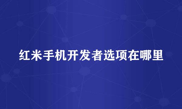 红米手机开发者选项在哪里