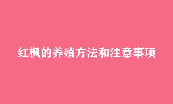 红枫的养殖方法和注意事项