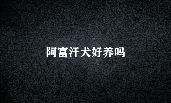 阿富汗犬好养吗