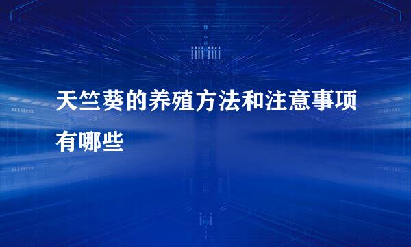 天竺葵的养殖方法和注意事项有哪些
