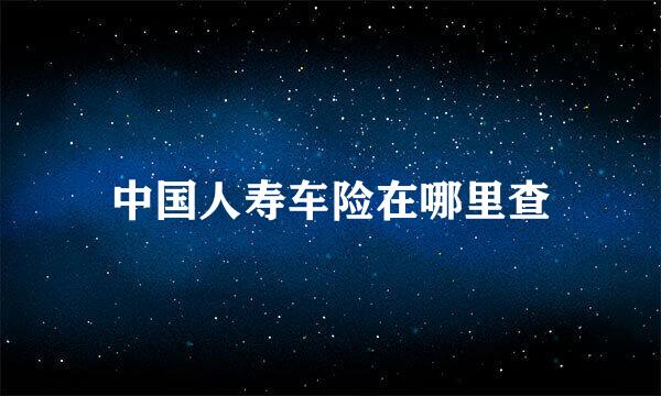 中国人寿车险在哪里查