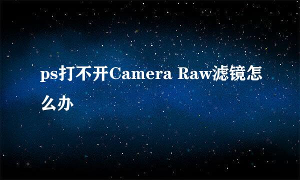 ps打不开Camera Raw滤镜怎么办