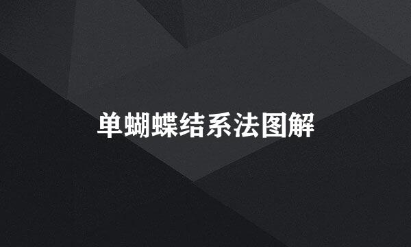 单蝴蝶结系法图解