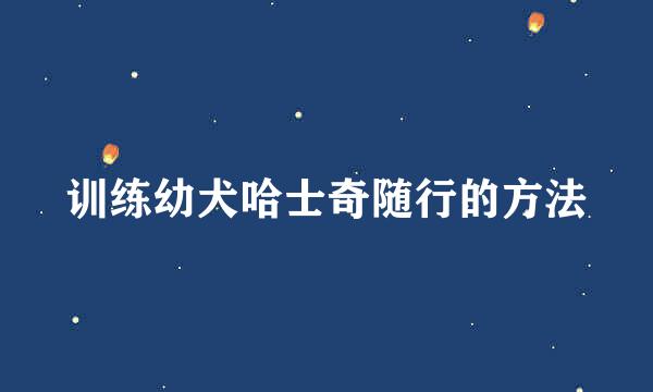 训练幼犬哈士奇随行的方法