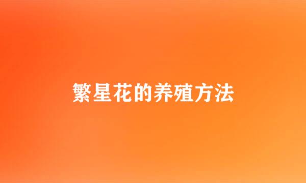繁星花的养殖方法