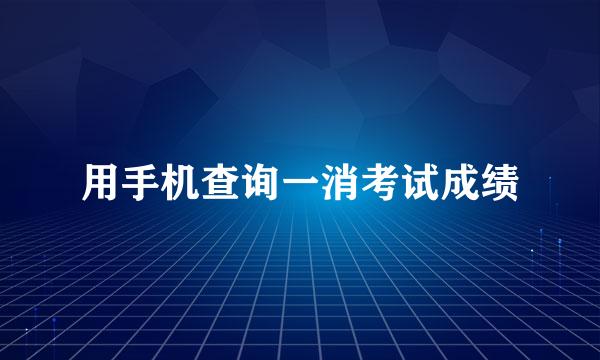 用手机查询一消考试成绩