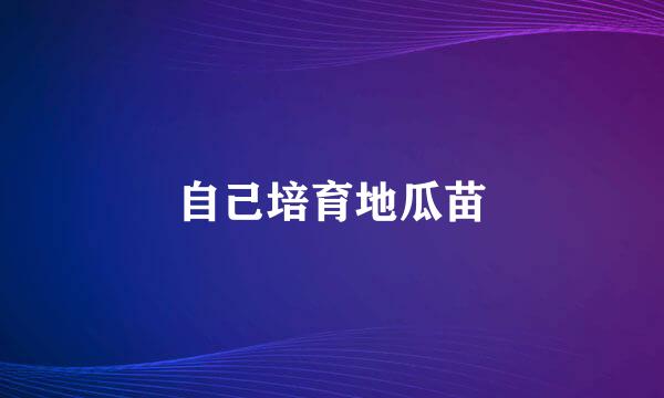 自己培育地瓜苗