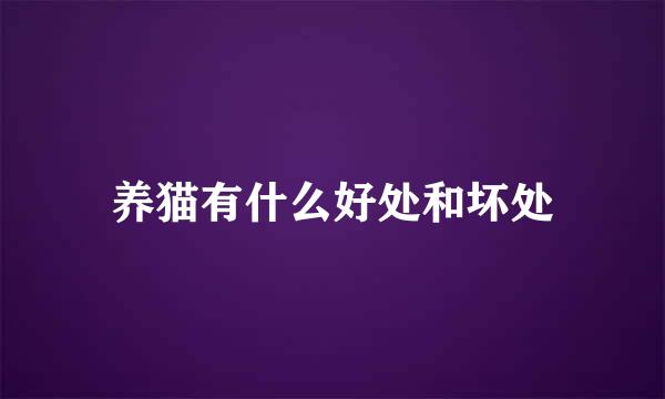 养猫有什么好处和坏处