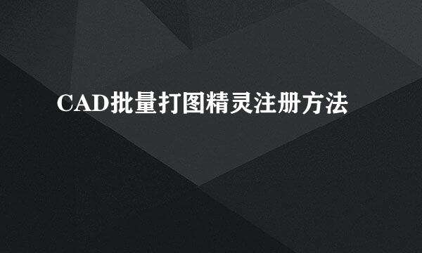 CAD批量打图精灵注册方法