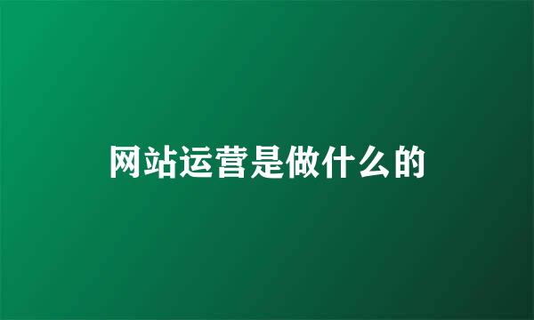 网站运营是做什么的
