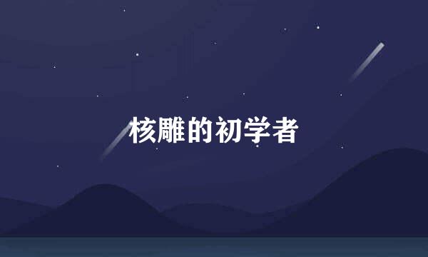 核雕的初学者
