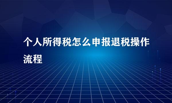 个人所得税怎么申报退税操作流程