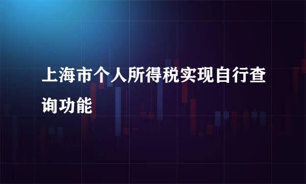 上海市个人所得税实现自行查询功能