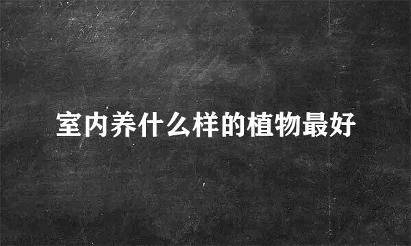 室内养什么样的植物最好