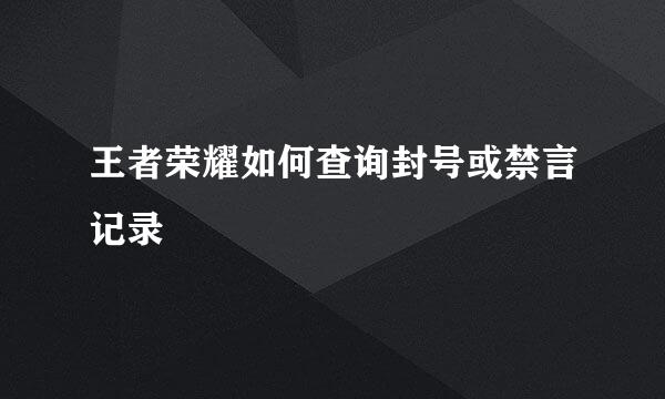 王者荣耀如何查询封号或禁言记录