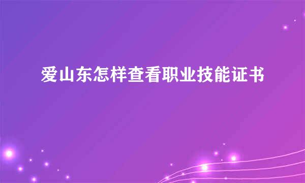 爱山东怎样查看职业技能证书