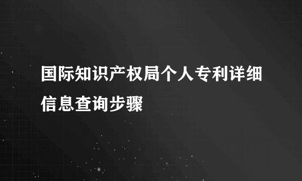 国际知识产权局个人专利详细信息查询步骤