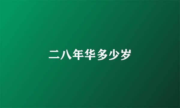 二八年华多少岁