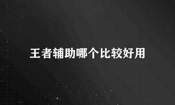 王者辅助哪个比较好用