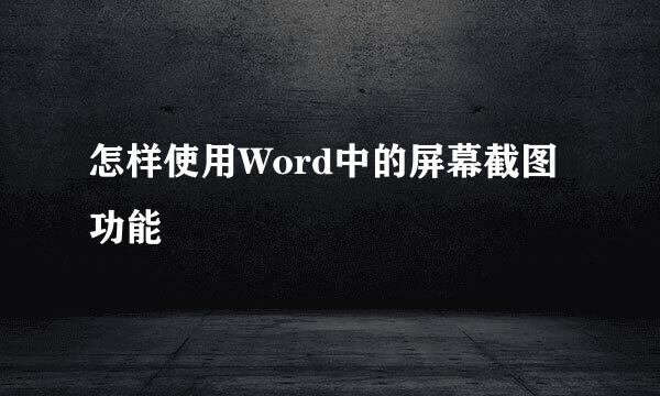 怎样使用Word中的屏幕截图功能