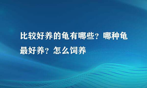 比较好养的龟有哪些？哪种龟最好养？怎么饲养