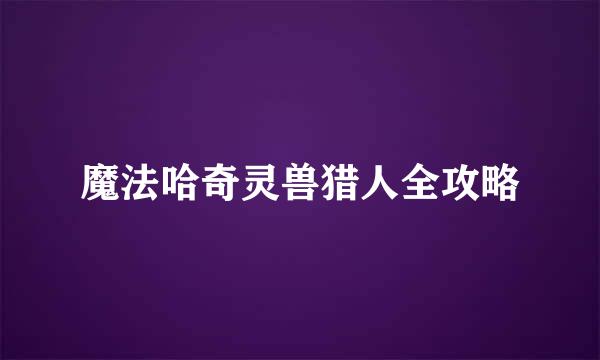 魔法哈奇灵兽猎人全攻略