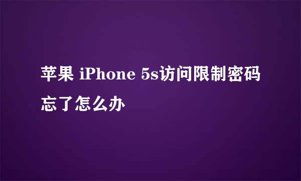 苹果 iPhone 5s访问限制密码忘了怎么办