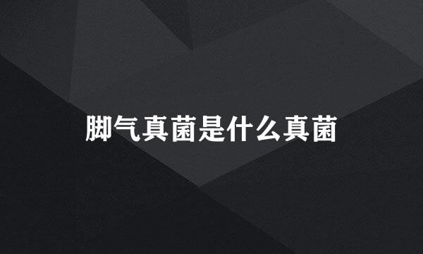 脚气真菌是什么真菌