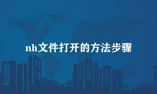 nh文件打开的方法步骤