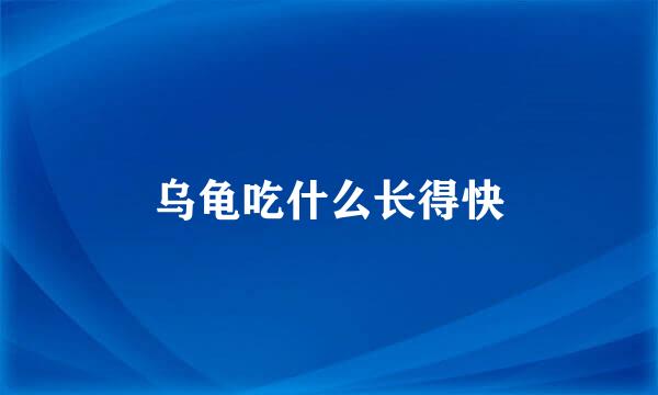 乌龟吃什么长得快