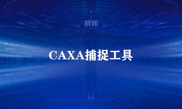 CAXA捕捉工具
