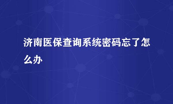 济南医保查询系统密码忘了怎么办