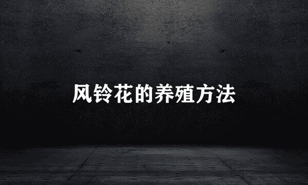风铃花的养殖方法