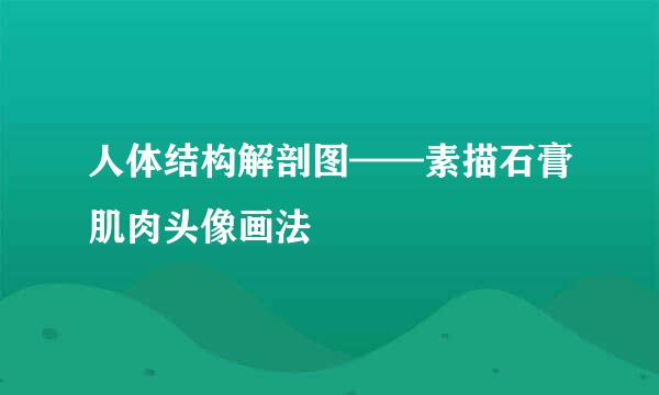 人体结构解剖图——素描石膏肌肉头像画法