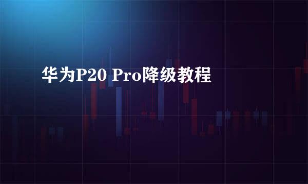 华为P20 Pro降级教程