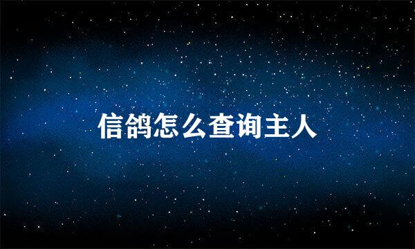 信鸽怎么查询主人