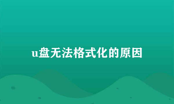 u盘无法格式化的原因