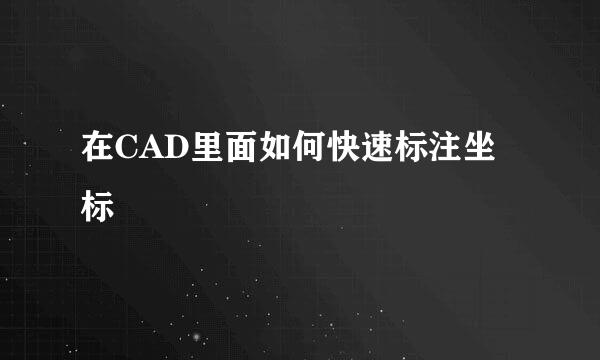 在CAD里面如何快速标注坐标