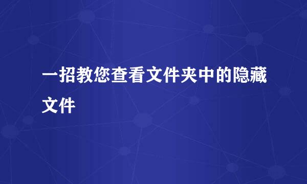一招教您查看文件夹中的隐藏文件