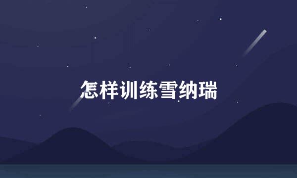 怎样训练雪纳瑞