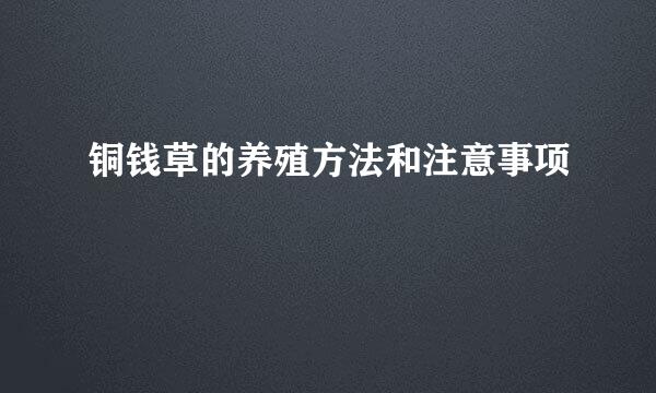 铜钱草的养殖方法和注意事项